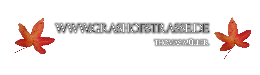 www.grashofstrasse.de  Thomas Mller